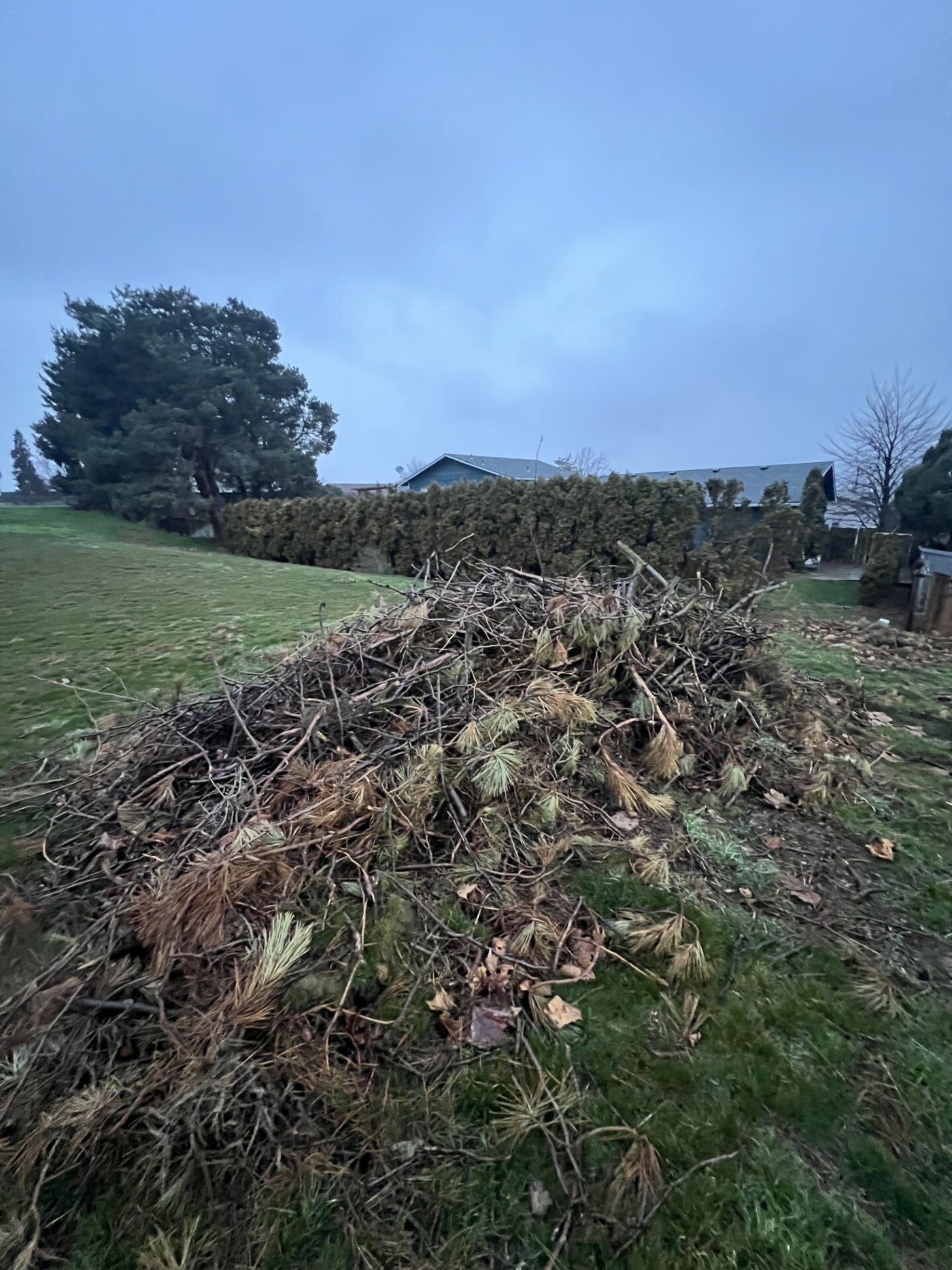 Yard waste hauling in Sunnyside, WA by Fast Lane Services